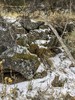 photo thumbnail #6