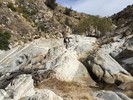 photo thumbnail #8
