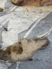 photo thumbnail #14