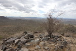 photo thumbnail #1
