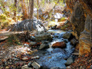 photo thumbnail #5