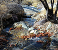 photo thumbnail #9