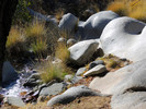 photo thumbnail #10
