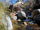 photo thumbnail #13