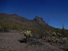 2018-02-23 :1: Hunter Trail - Picacho Peak :: astrobrewer