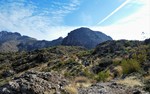 photo thumbnail #12