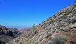 photo thumbnail #8