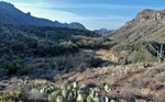 photo thumbnail #3