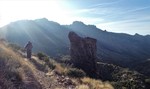 photo thumbnail #2