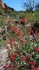 photo thumbnail #12