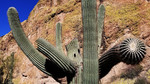 photo thumbnail #14