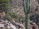 photo thumbnail #5