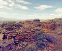 photo thumbnail #14