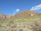 photo thumbnail #6