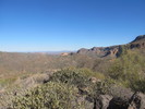 photo thumbnail #4
