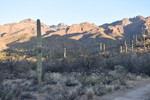 photo thumbnail #1