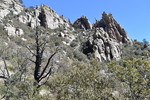 photo thumbnail #8