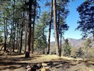 photo thumbnail #3