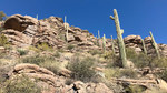 photo thumbnail #5