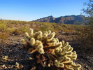 photo thumbnail #4