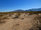 photo thumbnail #6