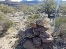 photo thumbnail #2