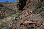 photo thumbnail #5