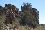 photo thumbnail #14