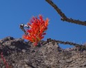 photo thumbnail #7