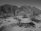 photo thumbnail #13