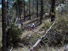 photo thumbnail #10