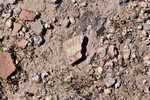 photo thumbnail #11