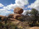 photo thumbnail #13