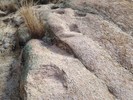 photo thumbnail #15