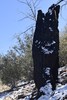 photo thumbnail #8