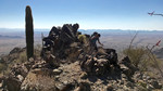 photo thumbnail #1