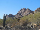 photo thumbnail #2