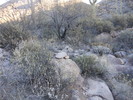 photo thumbnail #2