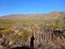 photo thumbnail #1