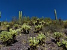 photo thumbnail #14