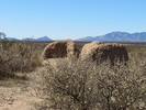 photo thumbnail #14