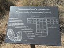 photo thumbnail #15