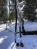 photo thumbnail #7