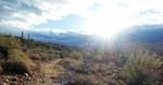 photo thumbnail #1