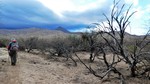 photo thumbnail #4