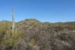 photo thumbnail #6