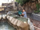 photo thumbnail #4