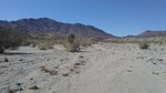 photo thumbnail #2