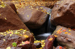photo thumbnail #1