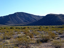 photo thumbnail #2